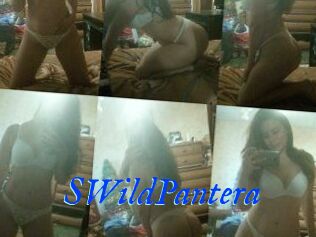 SWildPantera
