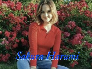 Sakura_Harumi