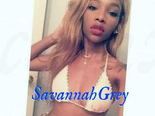 Savannah_Grey