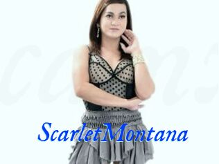 ScarletMontana