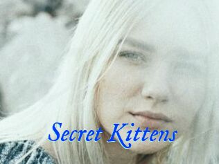 Secret_Kittens