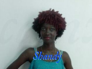 Shandy