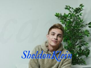 SheldonKlein