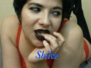 Shiloe