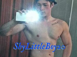 ShyLittleBoy20