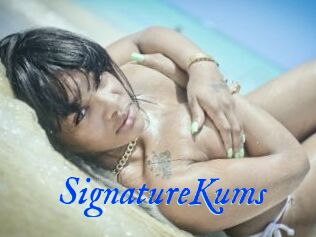 SignatureKums
