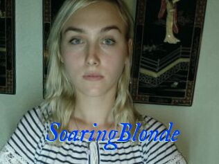SoaringBlonde