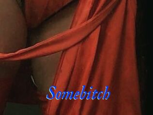 Somebitch