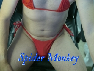 Spider_Monkey
