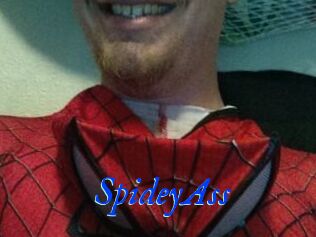 SpideyAss