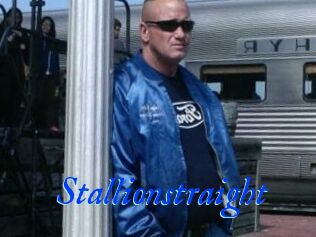 Stallionstraight