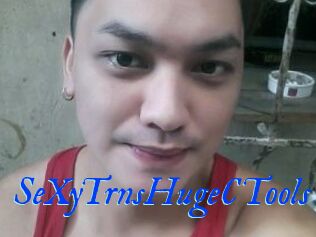 _SeXyTrnsHugeCTools_
