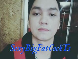_SexyBigFatCockTs_