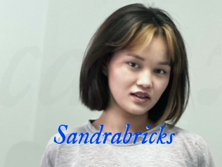 Sandrabricks