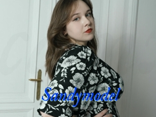 Sandymodel