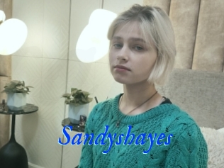Sandyshayes