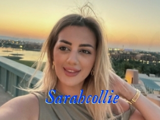 Sarahcollie