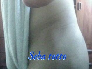 Seba_totto