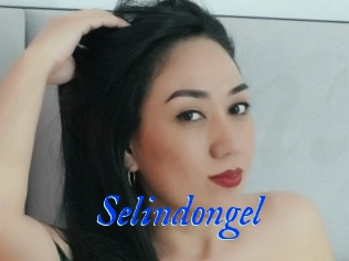 Selindongel