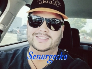 Senorgecko
