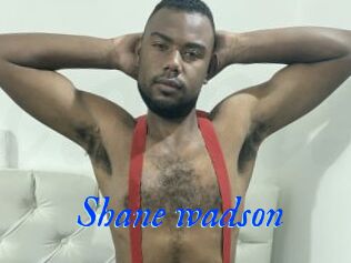 Shane_wadson