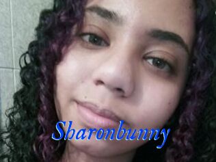 Sharonbunny