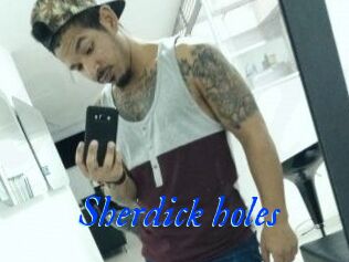 Sherdick_holes