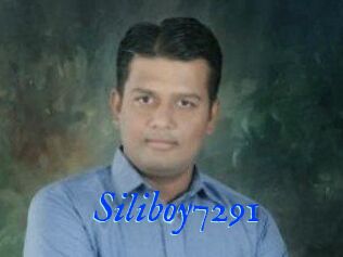 Siliboy7291