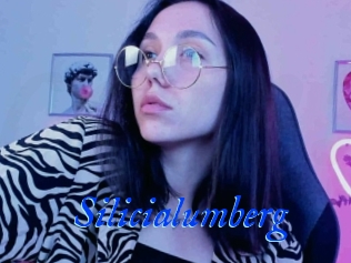 Silicialumberg