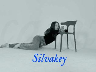 Silvakey