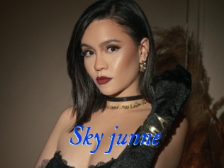 Sky_junne