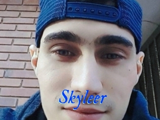 Skyleer