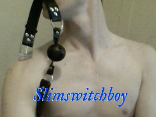 Slimswitchboy