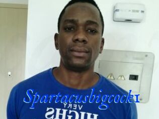 Spartacusbigcock1