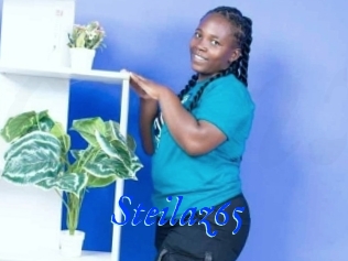 Steilaz65