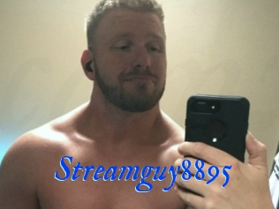 Streamguy8895