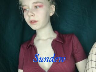 Sundew