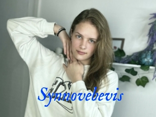 Synnovebevis