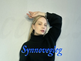 Synnovegleg