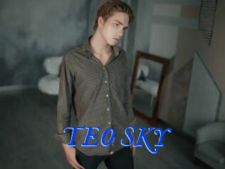 TEO_SKY