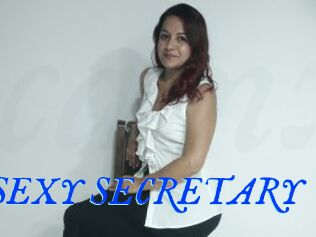 THE_SEXY_SECRETARY