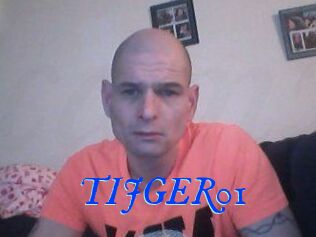 TIJGER01