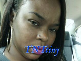 T_N_Ttiny
