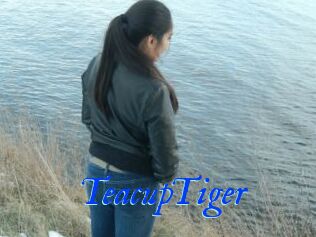 TeacupTiger