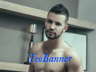 TeoBanner