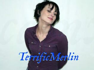 TerrificMerlin