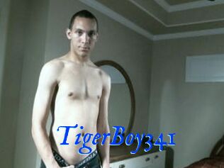TigerBoy341