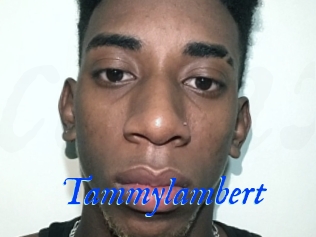 Tammylambert