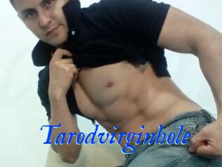 Tarodvirginhole