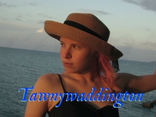 Tawnywaddington